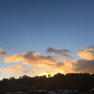 Meet your Posher, Izzy